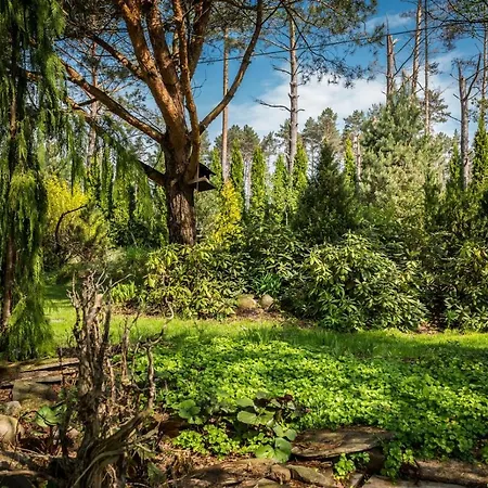 Appartamento Przystanek Czernica Mecikal