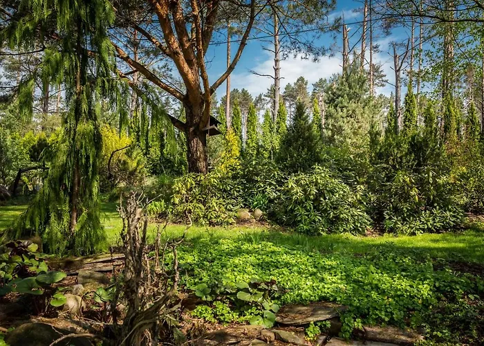 Lejlighed Przystanek Czernica Mecikal